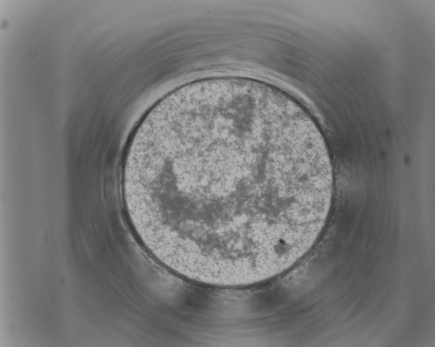 X0000073891514200609082110