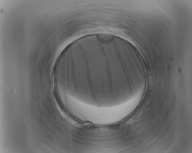 X0000073891515200609082110