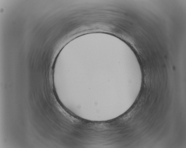 X0000073891516200609082110