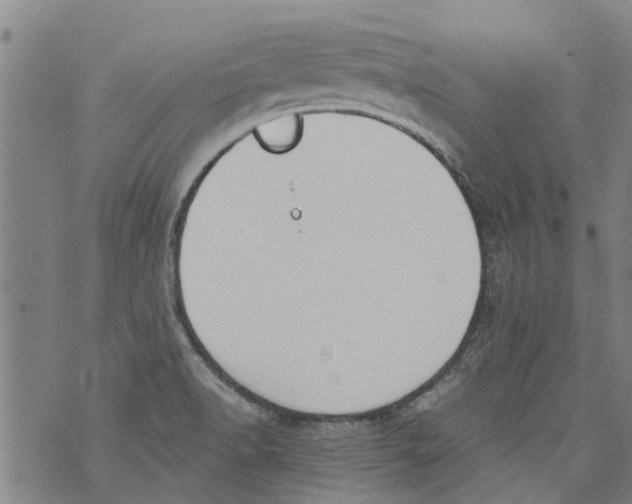 X0000073891518200609082110