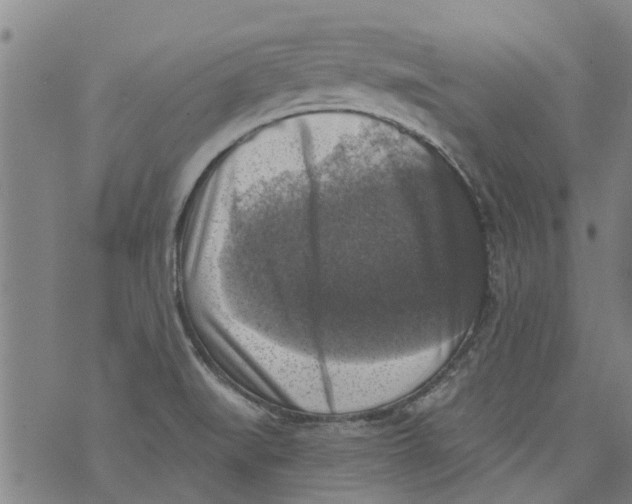 X0000073891519200609082110