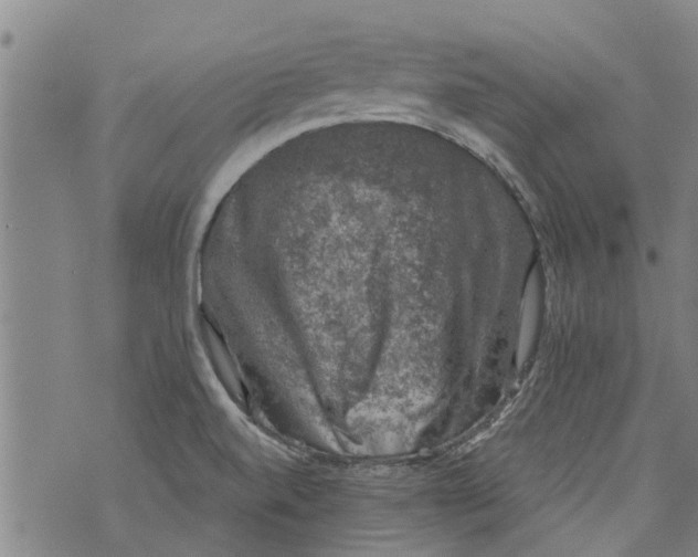 X0000073891520200609082110