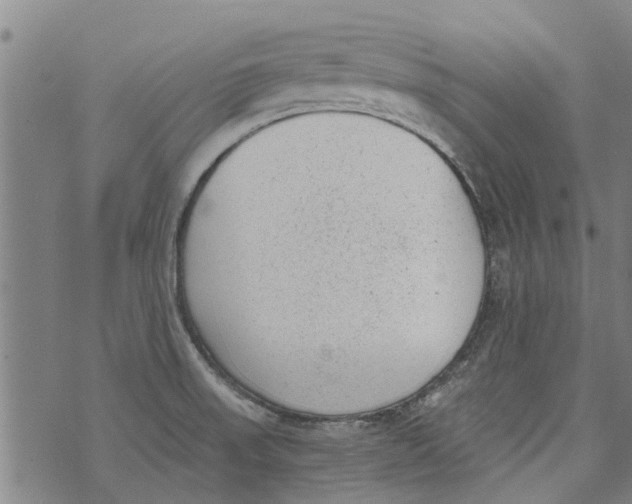 X0000073891523200609082110