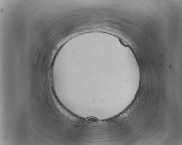 X0000073891526200609082110