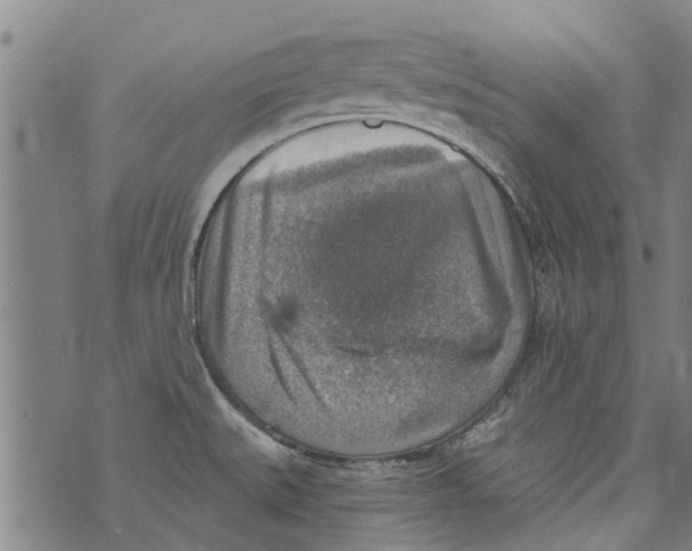 X0000073891527200609082110