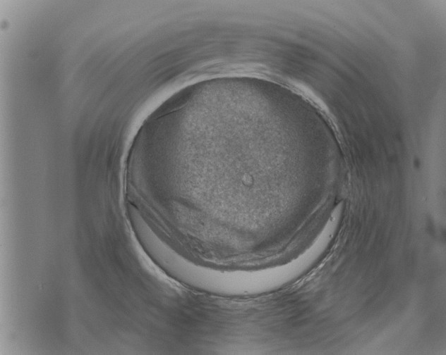 X0000073891528200609082110