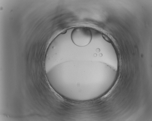 X0000073891529200609082110