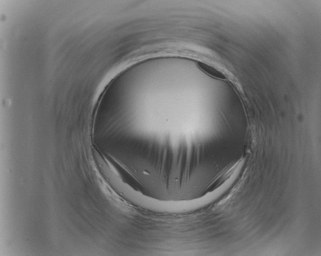 X0000073891530200609082110