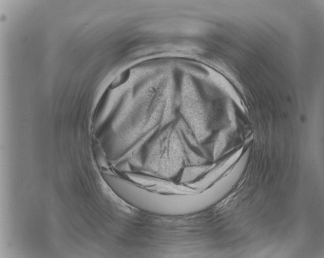 X0000073891532200609082110