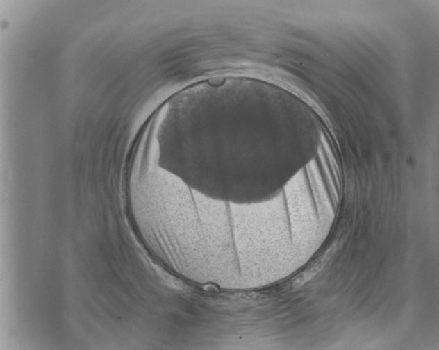 X0000073891533200609082110