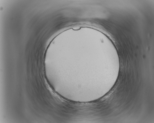 X0000073891534200609082110