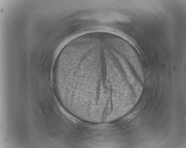 X0000073891535200609082110