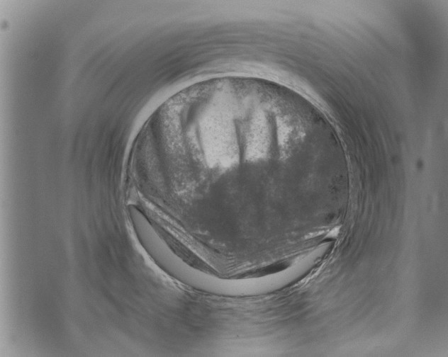 X0000073891536200609082110