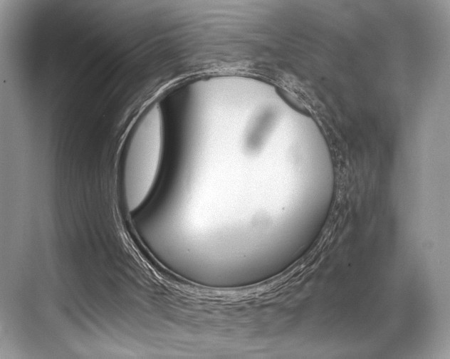 X0000073900002200608110948