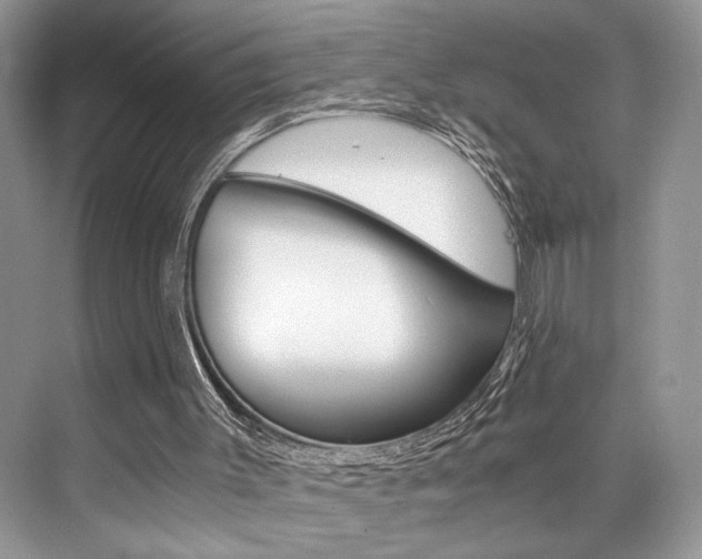 X0000073900003200608110947