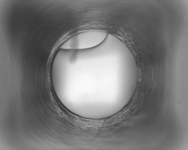 X0000073900004200608110947