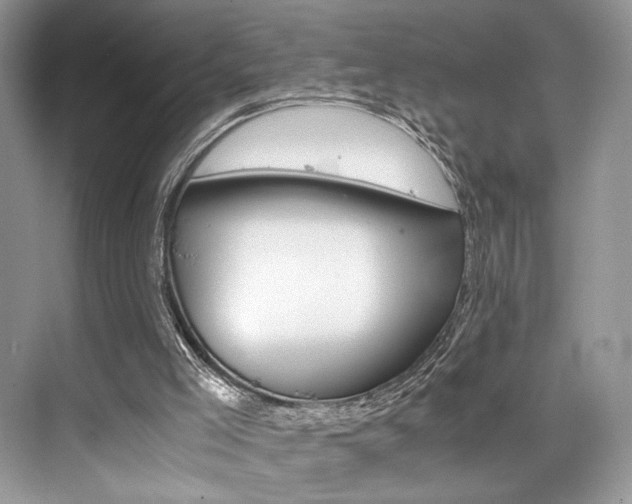 X0000073900005200608110947