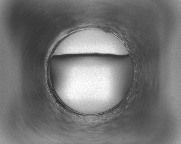 X0000073900006200608110947