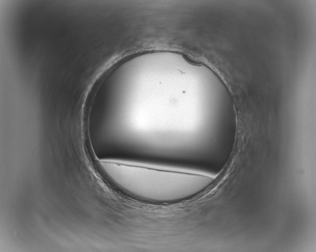 X0000073900008200608110947