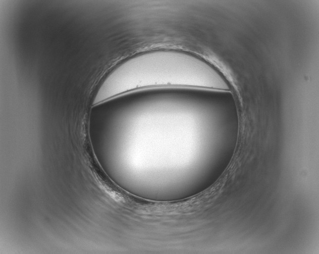 X0000073900009200608110947