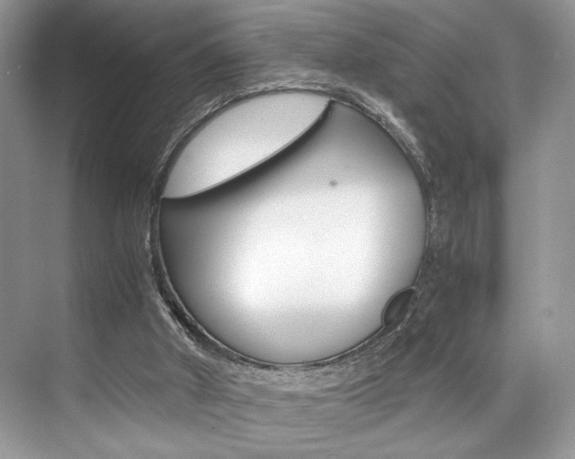 X0000073900010200608110947