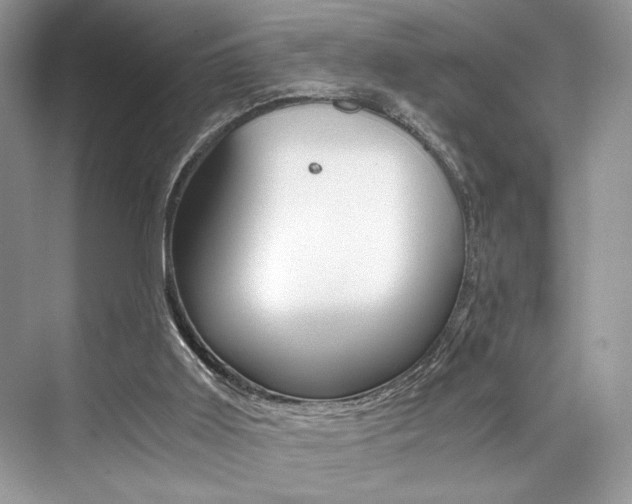 X0000073900011200608110947