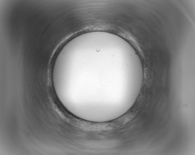 X0000073900012200608110947