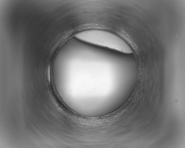 X0000073900014200608110947