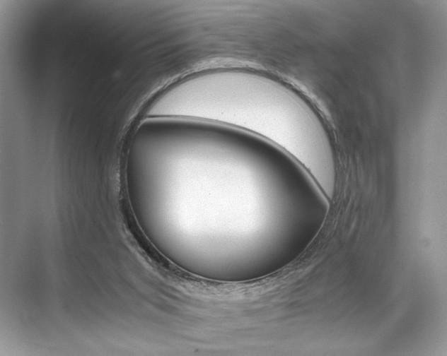 X0000073900015200608110947