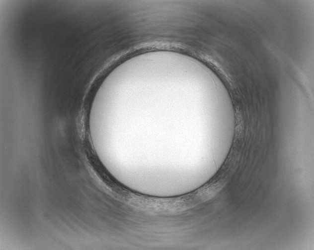 X0000073900016200608110947