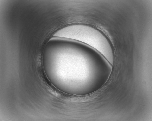 X0000073900017200608110947