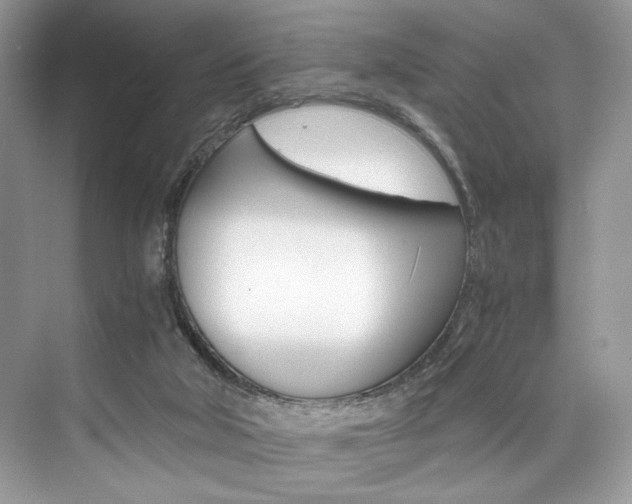 X0000073900018200608110947