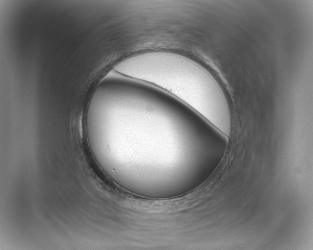 X0000073900019200608110947