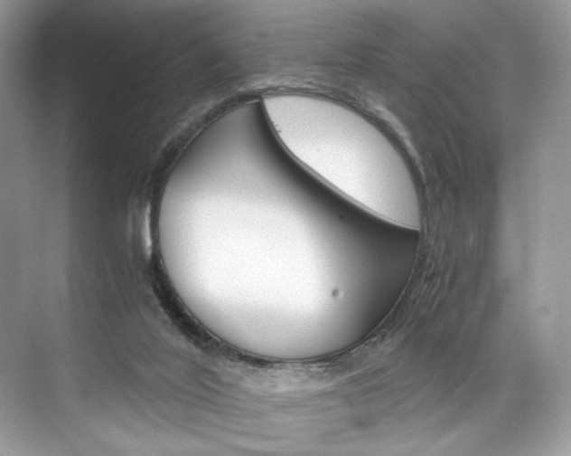 X0000073900020200608110947