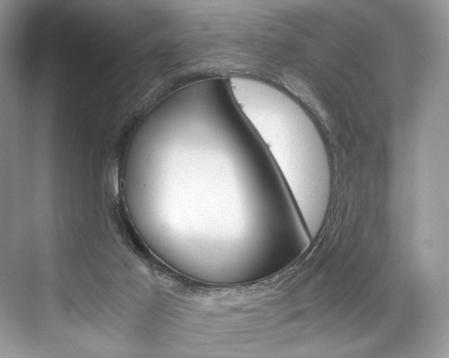 X0000073900021200608110947