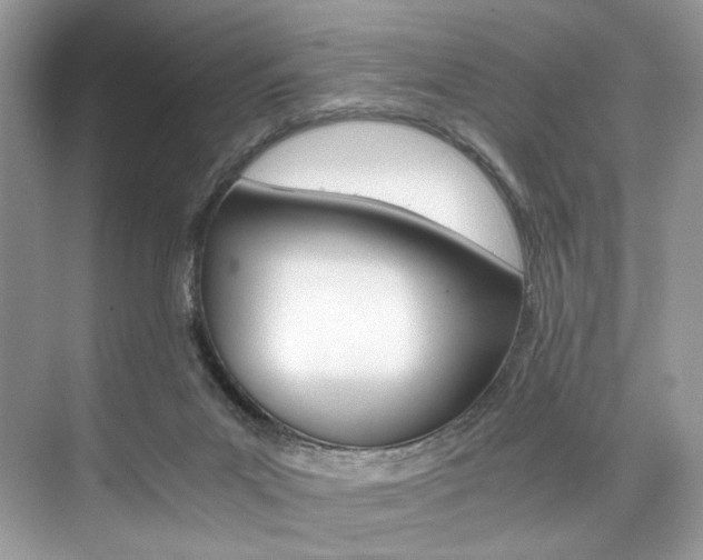 X0000073900023200608110947