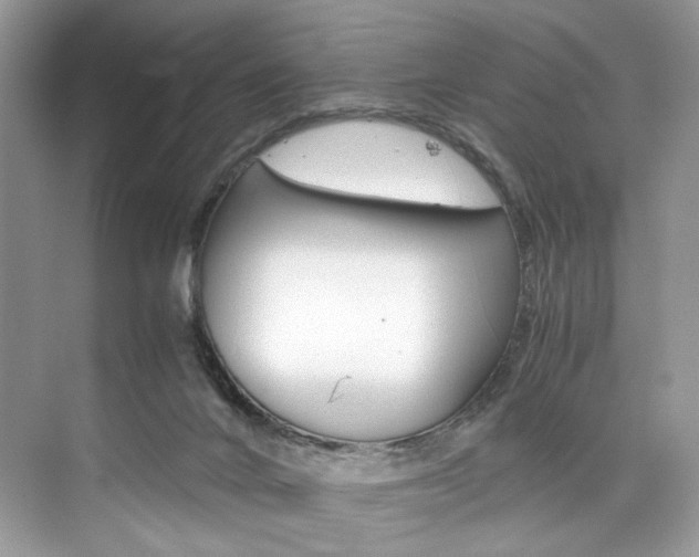 X0000073900024200608110947