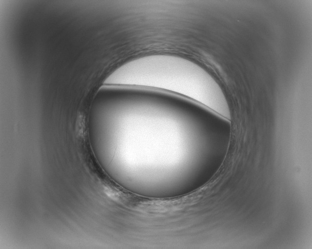 X0000073900025200608110947