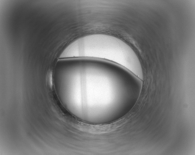 X0000073900027200608110947