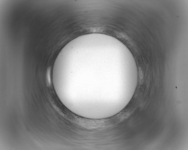 X0000073900028200608110947