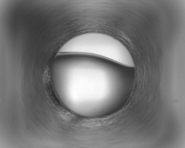 X0000073900029200608110947