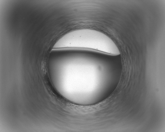 X0000073900031200608110947