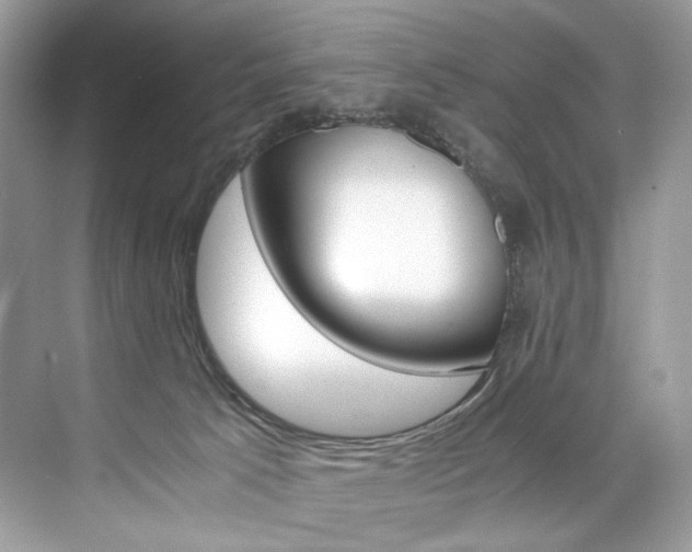 X0000073900033200608110947