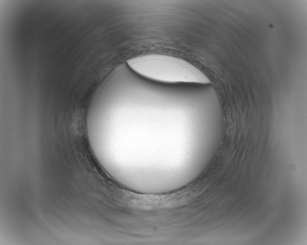 X0000073900034200608110947