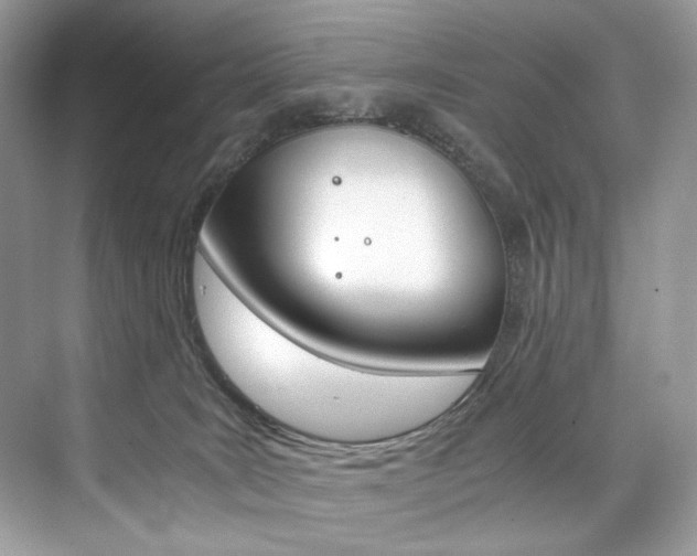 X0000073900035200608110947