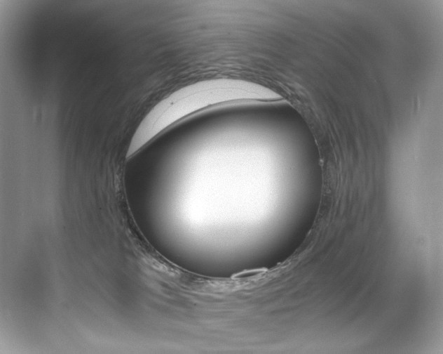 X0000073900037200608110947