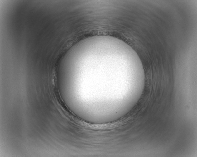 X0000073900038200608110947