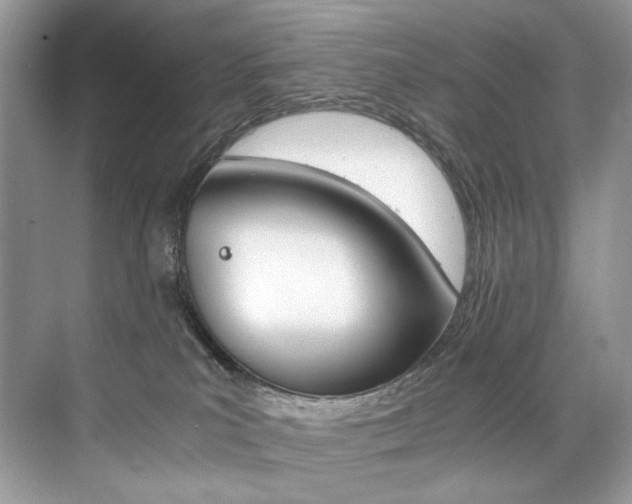 X0000073900039200608110947