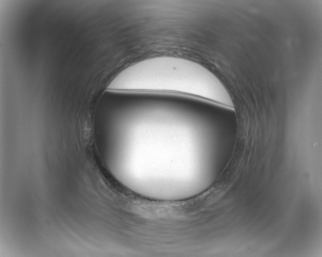 X0000073900040200608110947