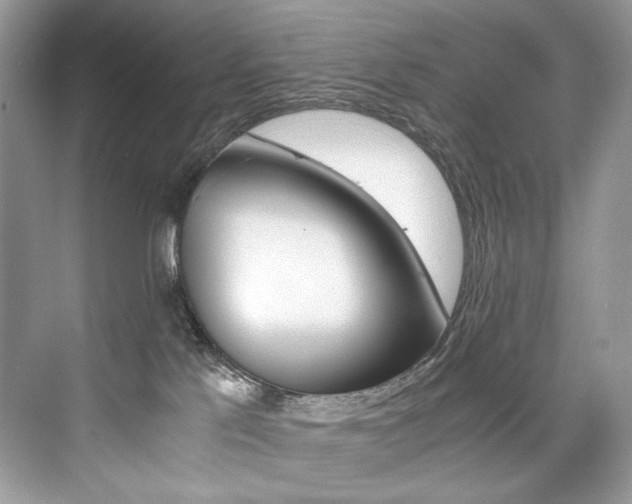 X0000073900041200608110947